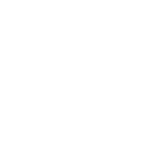 Car Care & Additives